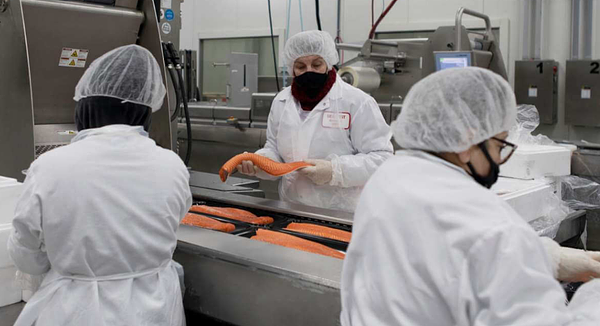 From Local Docks to Global Reach: BSF Rebrands for a Modern Era