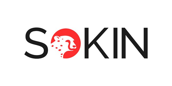 Sokin Defies Fintech Slump with $100M for Global Payments Overhaul