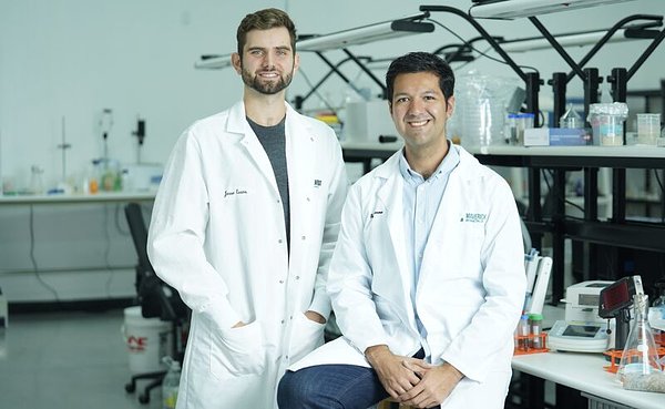 MaverickX's New Plant: Greener Oil and a Hunt for Hidden Metals