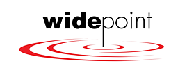 WidePoint's Strategic Pivot: From IT Provider to Embedded Partner