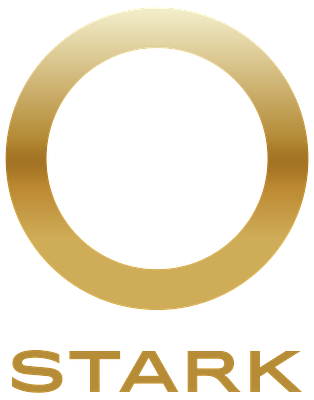 Stark Future's Electric Leap: Profitability Signals New Motorcycle Era