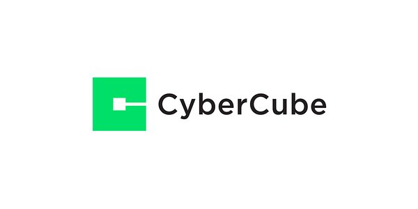 CyberCube Taps New CEO to Steer Growth After $180M Funding