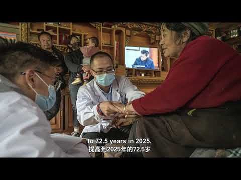 Tibet's Two Realities: Prosperity on the Plateau or Progress at a Price?