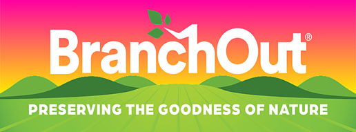 BranchOut Food's High-Stakes Q1 Call Amid Rapid Growth