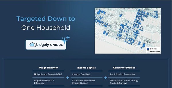 AI Tackles Energy Poverty, Earning Bidgely Its Third Major Award