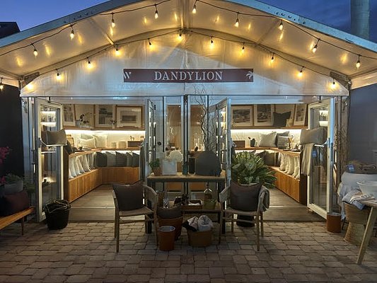 From Bridle to Bedside: DandyLion Reins in Luxury Home Decor