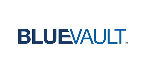 Blue Vault Launches Portal to Demystify Alternative Investments