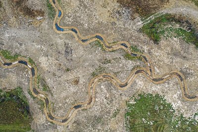 Private Equity Bets Big on Restoring America's Wetlands