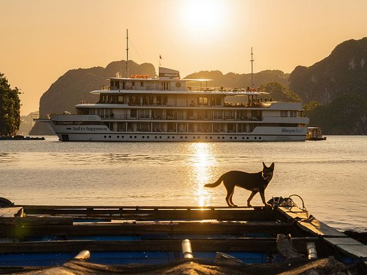 Bhaya Cruises Unveils All-Inclusive Luxury for a Sustainable Summer