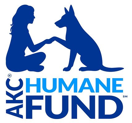 AKC Fund Targets Vet Bills to Combat Pet Ownership's Silent Crisis