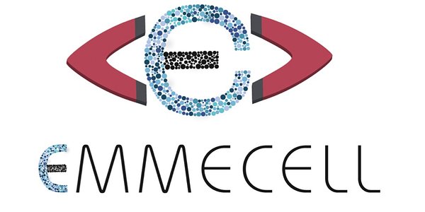 Emmecell Taps Veteran CEO for Magnetic Cell Therapy Commercial Push