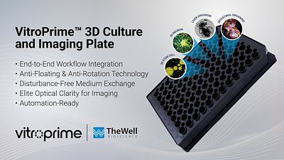 TheWell Bioscience Unveils Plate to End 3D Cell Culture Disruption