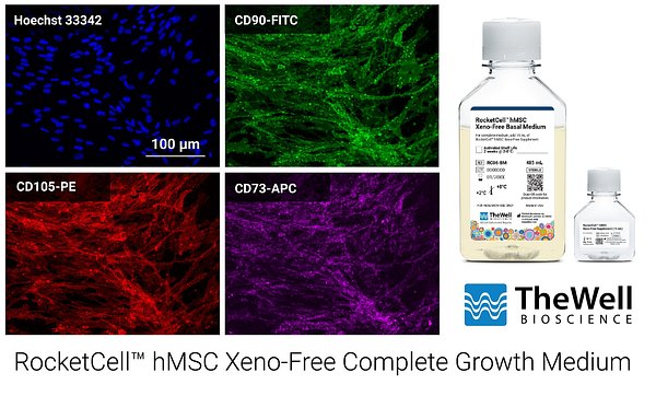 TheWell Bioscience Launches Medium to Tackle Stem Cell Manufacturing Hurdles