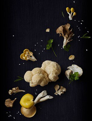 Legacy Mushroom Grower Pivots, Ships Gourmet Fungi to Home Kitchens