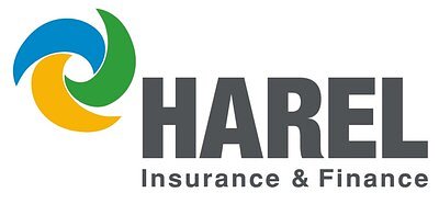 Harel's Financial Blueprint: How Diversification Forges Growth