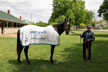 Sentient Jet’s Derby Decade: High Stakes in Luxury Aviation