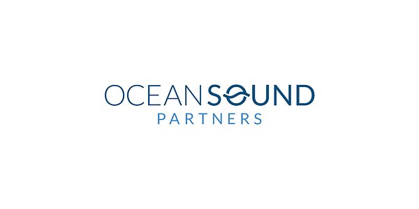 OceanSound Taps TPG Veteran to Lead In-House Capital Markets Push