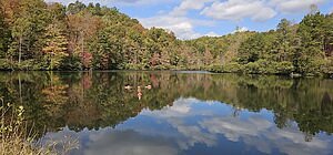 Kentucky's New Preserve: An Oil Exec's Pivot to Eco-Development