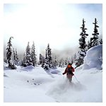 The Winning Formula: Inside Northern Escape's Four-Year Heli-Ski Reign