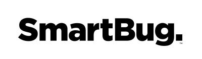 SmartBug's Strategic Spinoff: Point Success Media Targets AI Ad Niche