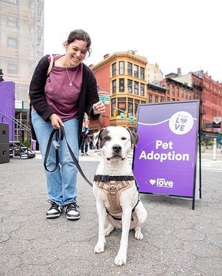 Beyond the Block Party: Petco's Strategic Play in NYC's Animal Crisis