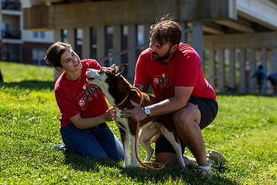 Purina's $1.16M Grants Reshape Communities Beyond the Pet Food Bowl