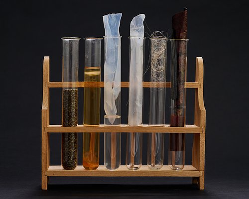 Bezos Fund Bets $34M on Lab-Grown Fashion to Clean Up Your Closet