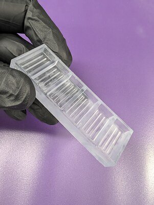 Scientists Grow Human Gut with Nerves, Slashing Production Time in Half