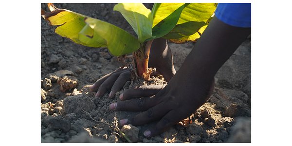 Nu Skin Report Details Vast Social Impact and Green Supply Chain Goals