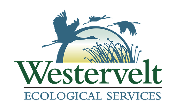 South Dakota's New Green Economy: Profit Meets Prairie Restoration