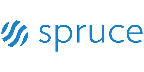 Spruce Power Faces New Reality in Q1 Earnings Amid Solar Policy Shifts