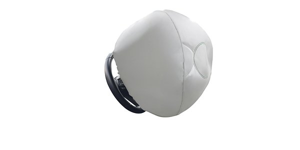 Beyond the Crash Test Dummy: A New Airbag Reimagines Driver Safety