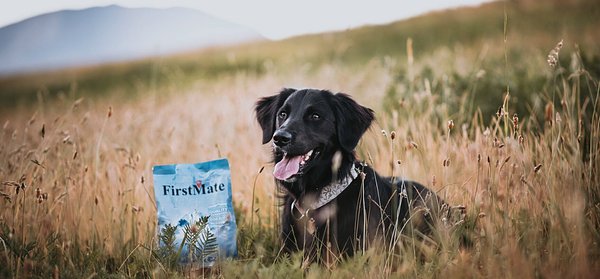 Nasta's Big Bite: French Firm Buys FirstMate in Premium Pet Food Play