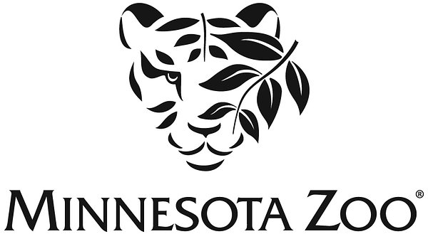 Beyond the Beach: Sea Turtle Finds New Home, Highlights Shifting Wildlife Rehab Landscape