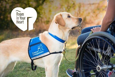 Red Roof Stays Support Service Dogs Through Renewed Partnership