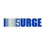 Surge Components Posts Strong Growth, Eyes AI and Europe Markets