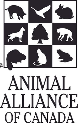 Ontario Lab Faces Probe Over Alleged Dog Cruelty, Failed Oversight