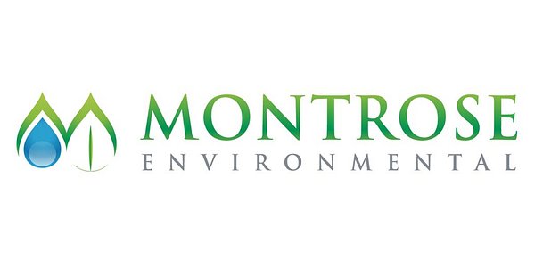 Montrose Eyes Growth at Needham Amid Booming Environmental Market