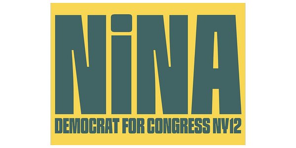 From Global Health to Capitol Hill: An Expert's Bid for NY-12
