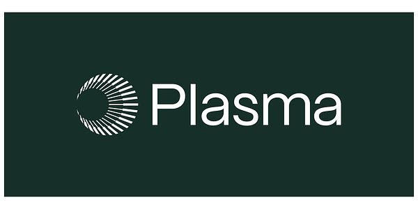Plasma Taps Hedge Fund Veteran for Stablecoin Neobank Leadership