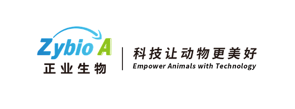 Zhengye Biotech's Nasdaq Lifeline: A 180-Day Race Against Financial Reality