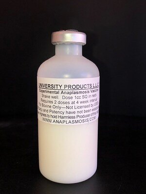 Anaplasmosis Surge: Early Vaccination Urged to Protect Cattle Profits