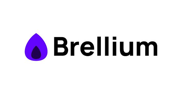 Brellium Taps Former Medicaid Chief to Navigate Regulatory Maze