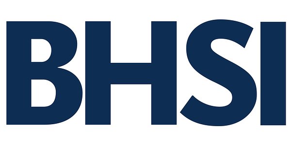 BHSI Taps AIG Veteran to Helm Global Transactional Liability Push