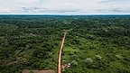 New Finance Facility Aims to Unlock Billions for Congo Basin Forests
