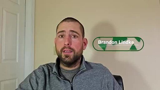 Beyond the Chainsaw: An Expert’s Guide to Hiring a Safe Tree Service