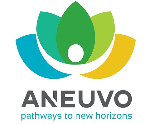 ANEUVO's SCI Therapy Wins Global Award, Heralding New Hope