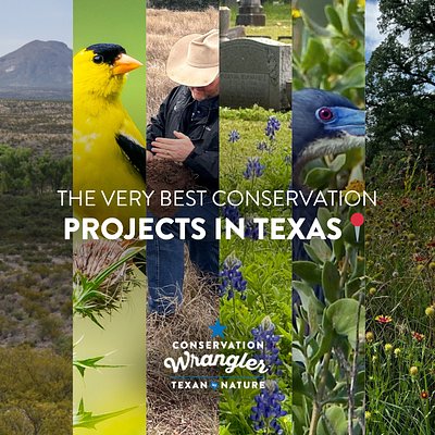 Texas's Green Guardians: Six Projects Chosen to Lead Conservation Efforts