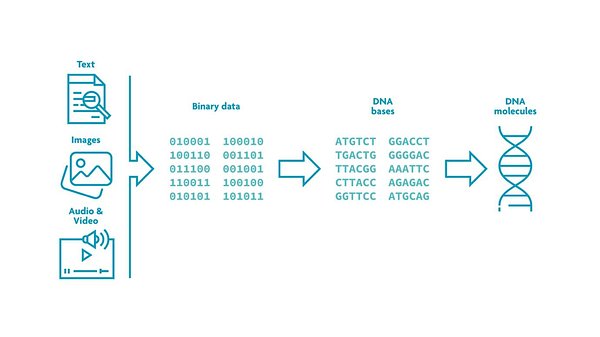 Silicon Meets DNA: A New Partnership to Solve the AI Data Crisis
