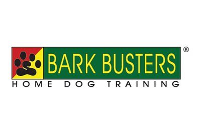 USA's 250th Bash: A Terror for Dogs, A Crisis for Shelters